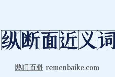 纵断面近义词是什么意思的图片